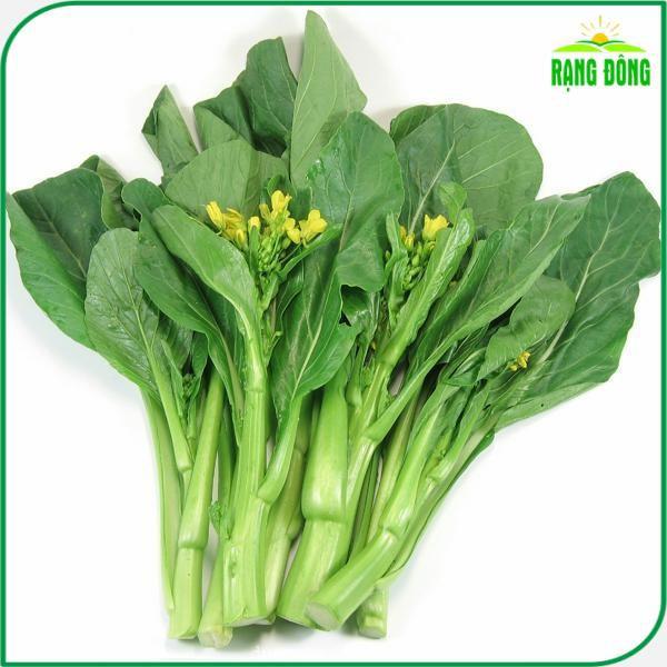 Hạt giống Cải Ngọt Bông (Cải Ngồng) (gói 20 gram) - Hạt Giống Rạng Đông