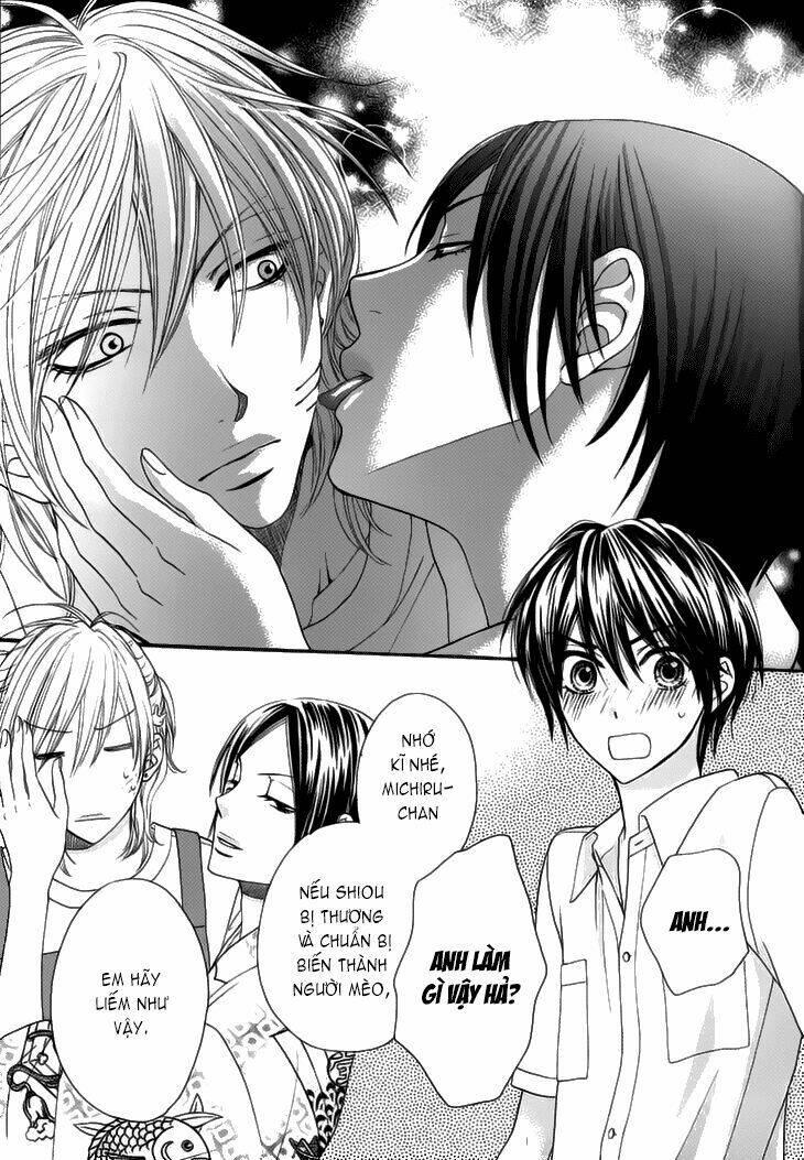 nekoka danshi no shitsukekata chapter 2 14