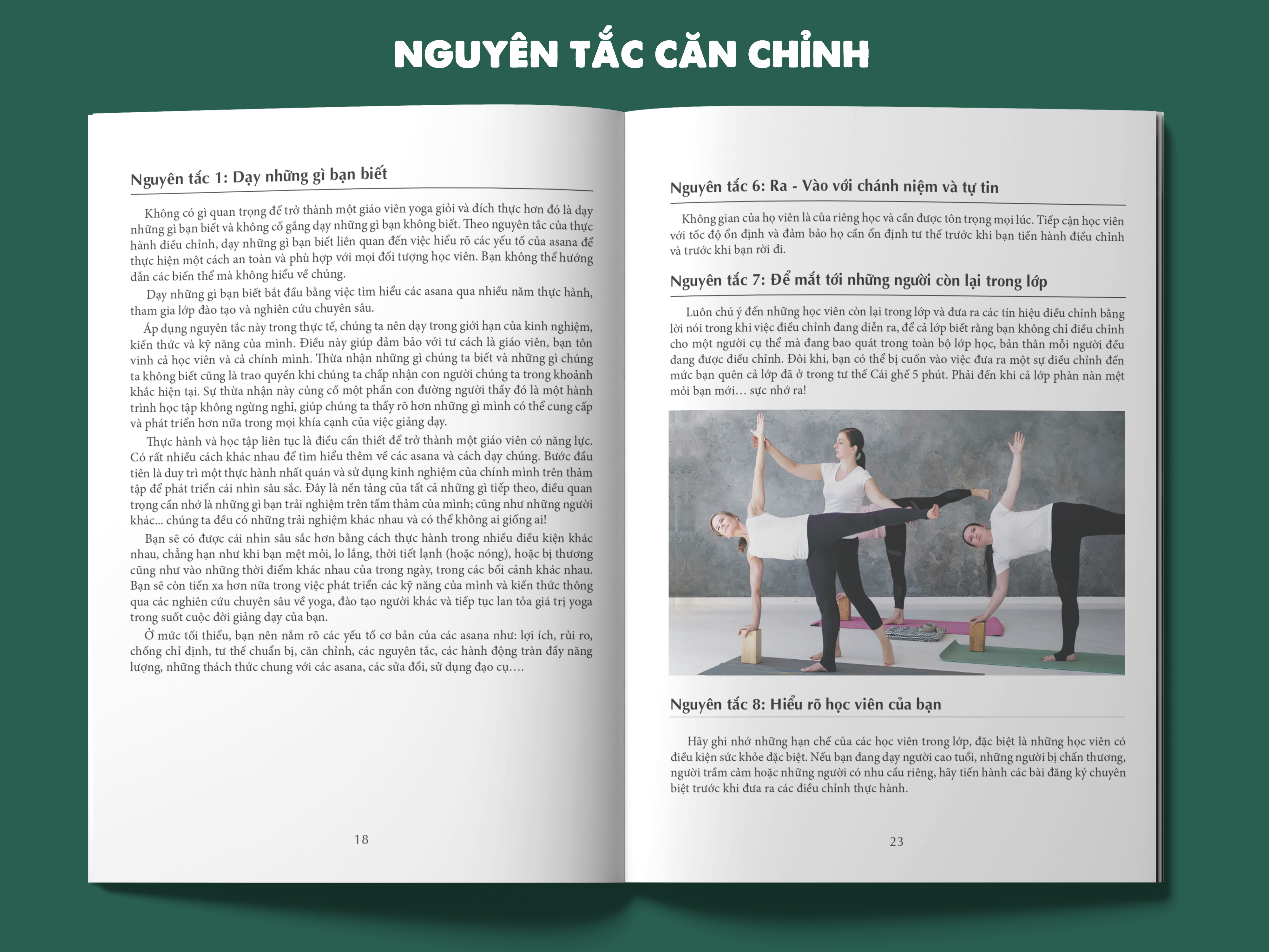 Nghệ thuật căn chỉnh tư thế Yoga