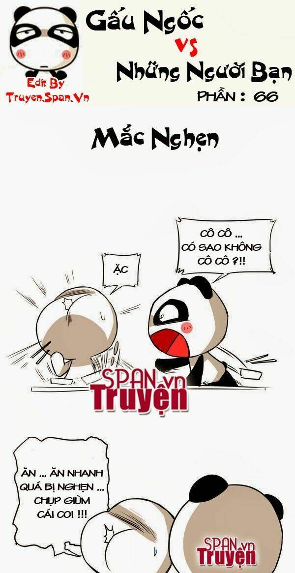 gấu ngốc và những người bạn chapter 14 1