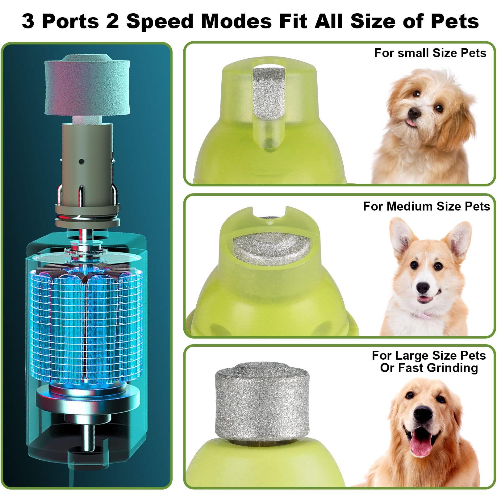 Máy mài móng vuốt cho chó và mèo có đèn LED, 40 Decibel Super-Super Noise Scissors cho chó và mèo nhỏ, vừa và lớn, 2 tốc độ, 3 cổng mài