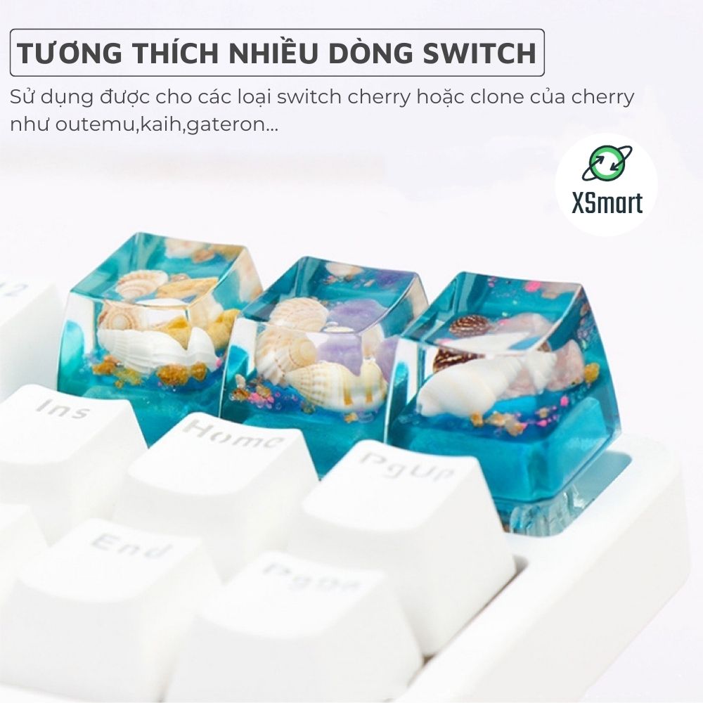 Keycap Nút Bàn Phím Ốc Đại Dương Tự Nhiên Thủ Công Cực Đẹp Nhựa Resin Trong Suốt Xuyên LED-Hàng Chính Hãng