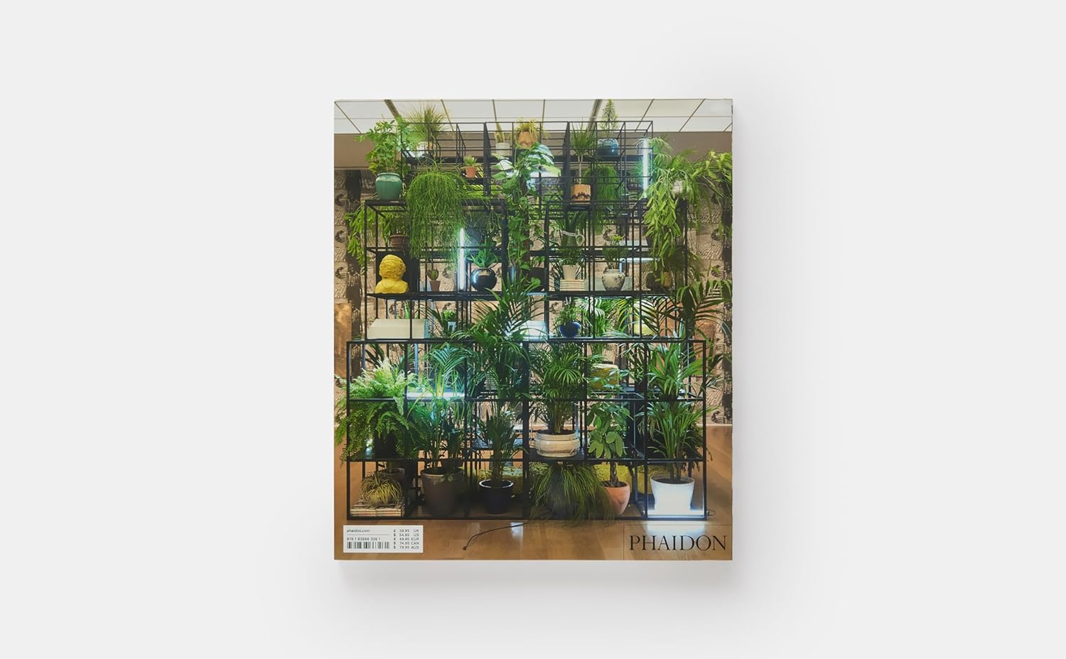 Rashid Johnson