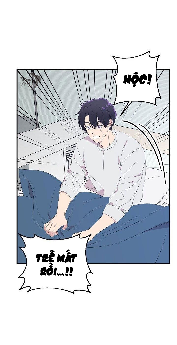 hoa ly hổ chapter 12 4