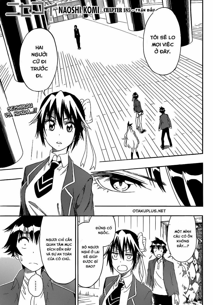 nisekoi - tình yêu giả tạo chapter 185 4