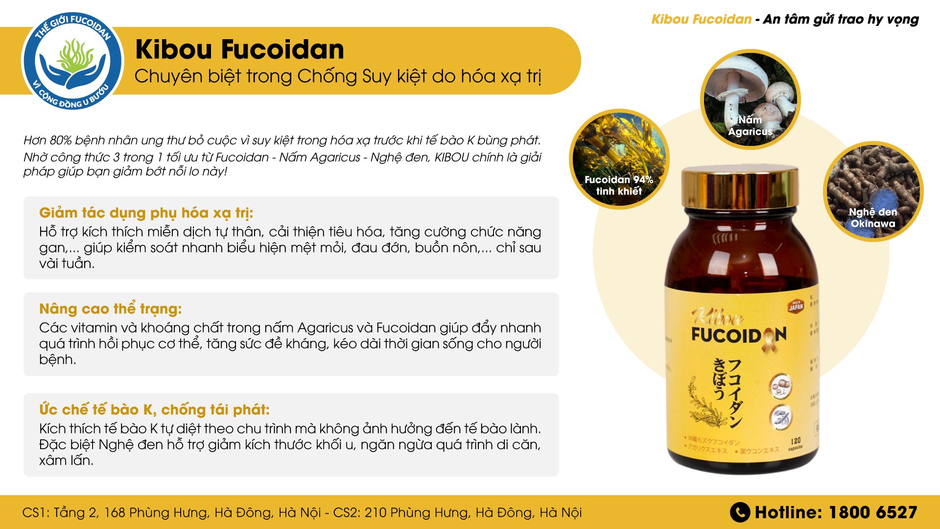 Viên uống Kibou Fucoidan Hộp 120 viên - Fucoidan Nhật Bản tăng cường miễn dịch