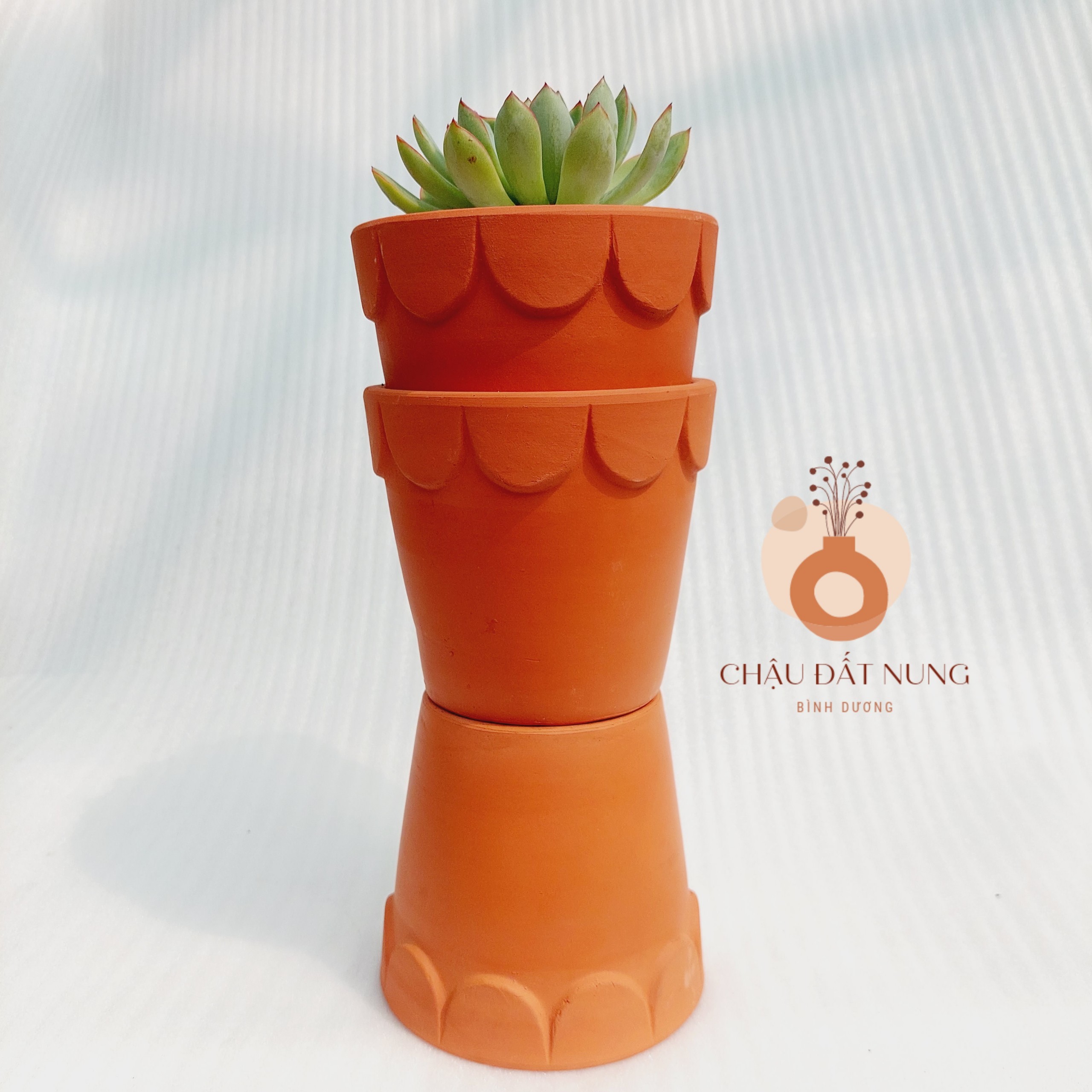 Chậu đất nung - Ly gờ hoa, miệng chậu 12cm, chiều cao 11cm
