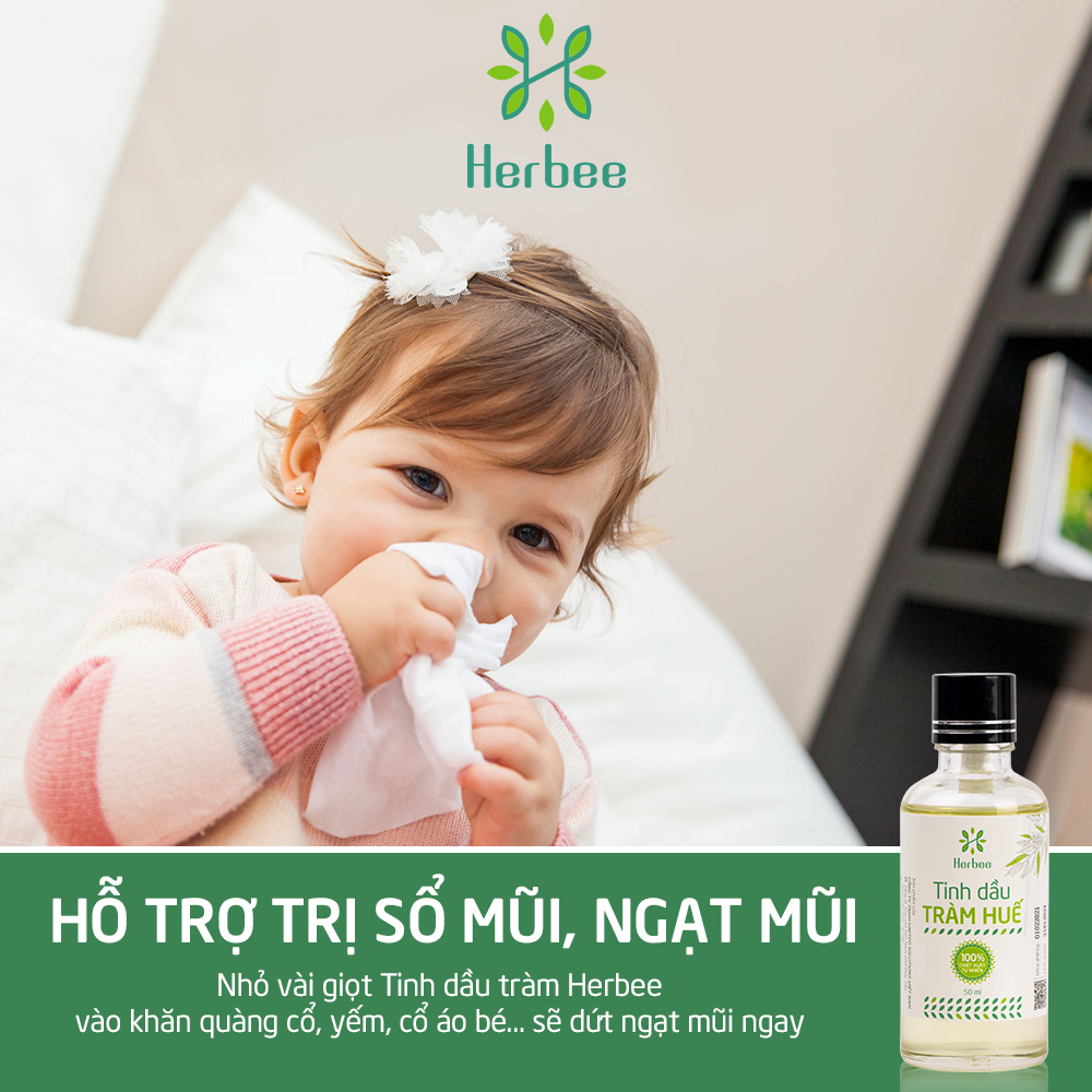 Tinh Dầu Tràm Herbee , Dầu Tràm Nguyên Chất, Giữ Ấm Cơ Thể Khi Trời Lạnh, Chiết Xuất 100% Từ Lá Tràm Gió Huế