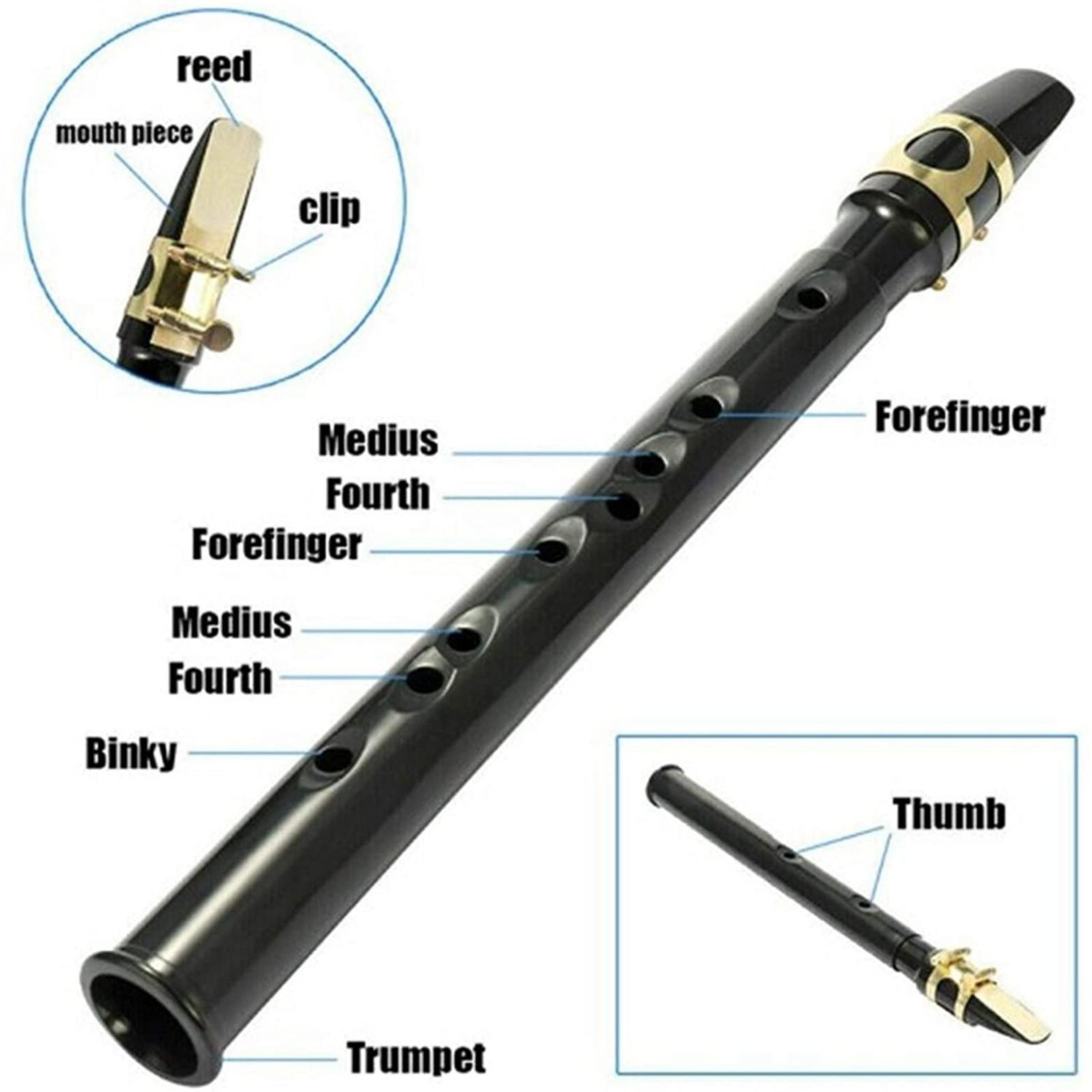 Mini Pocket Saxophone with Carrying Bag for Professional Beginner Birthday Gifts