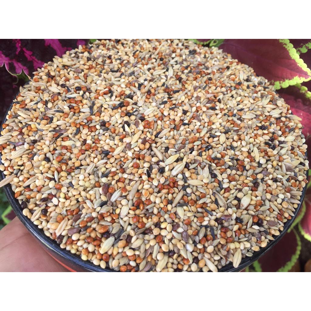 Hạt trộn cho chim yến phụng gói 1kg