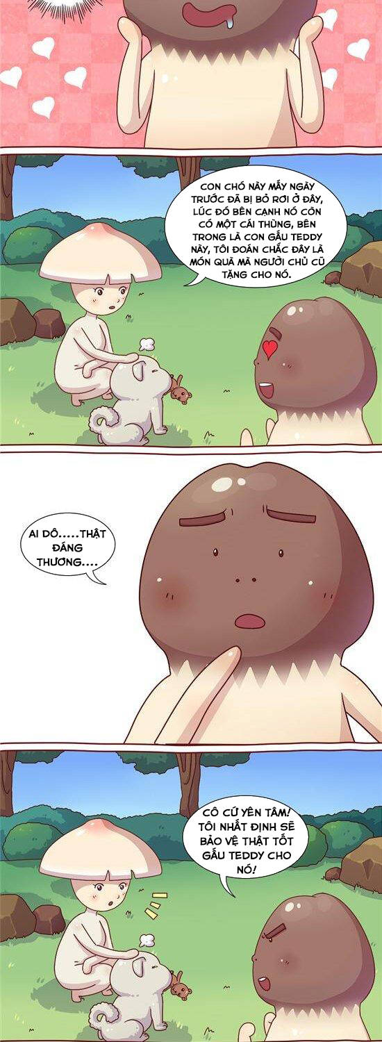 cây nấm kì khả chapter 22 5
