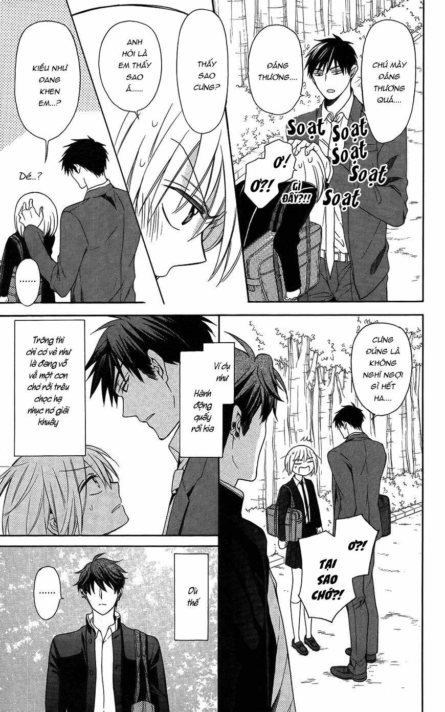 thầy giáo của tôi chapter 115 29