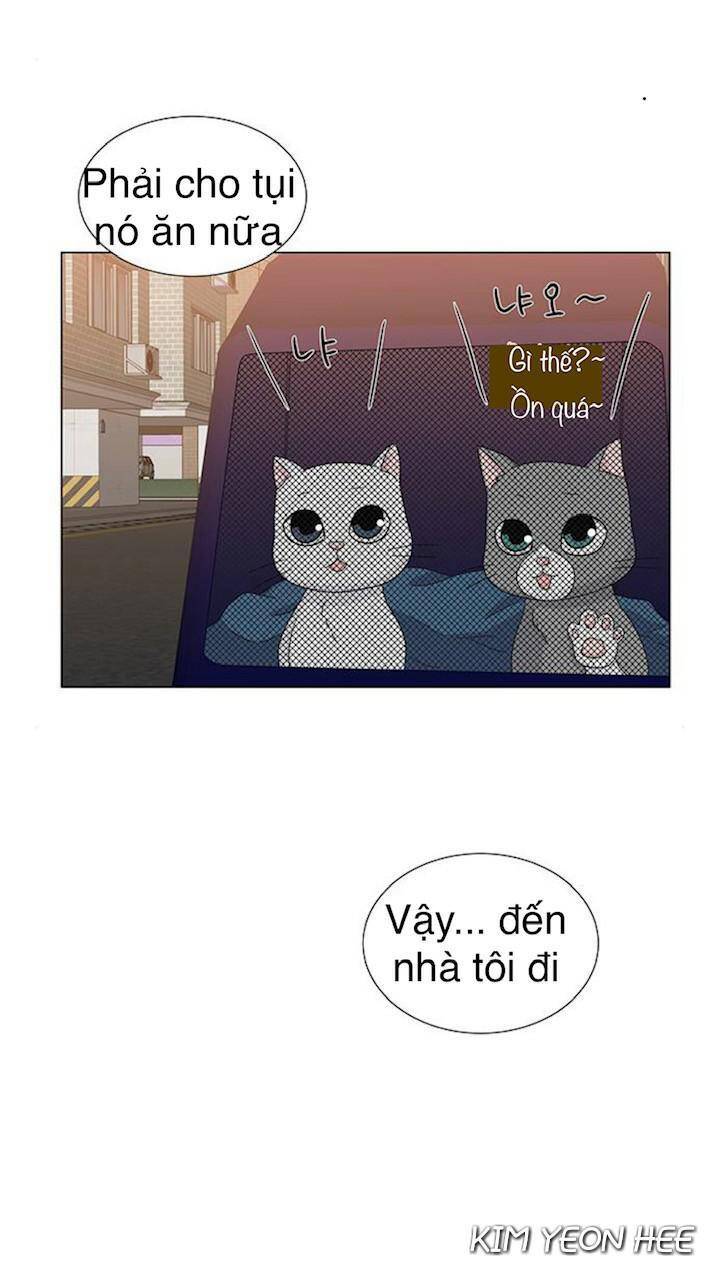 idol và sếp, em yêu ai? chapter 129 41