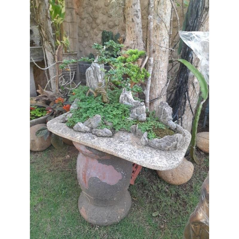 Khây trồng cây bonsai- núi đá trồng cây