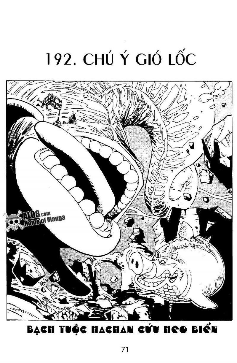 đảo hải tặc - one piece chapter 192 1