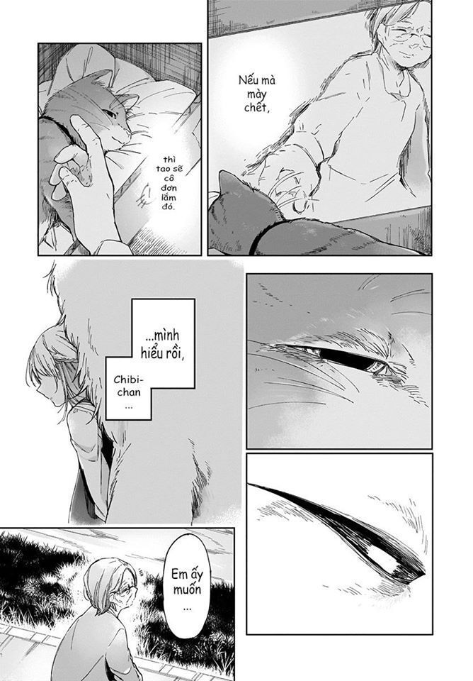 dear noman chapter 3 13