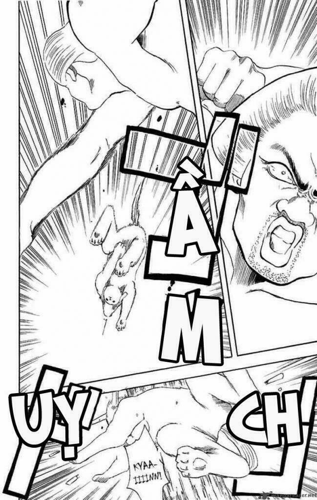 gintama - linh hồn bạc chapter 39 16