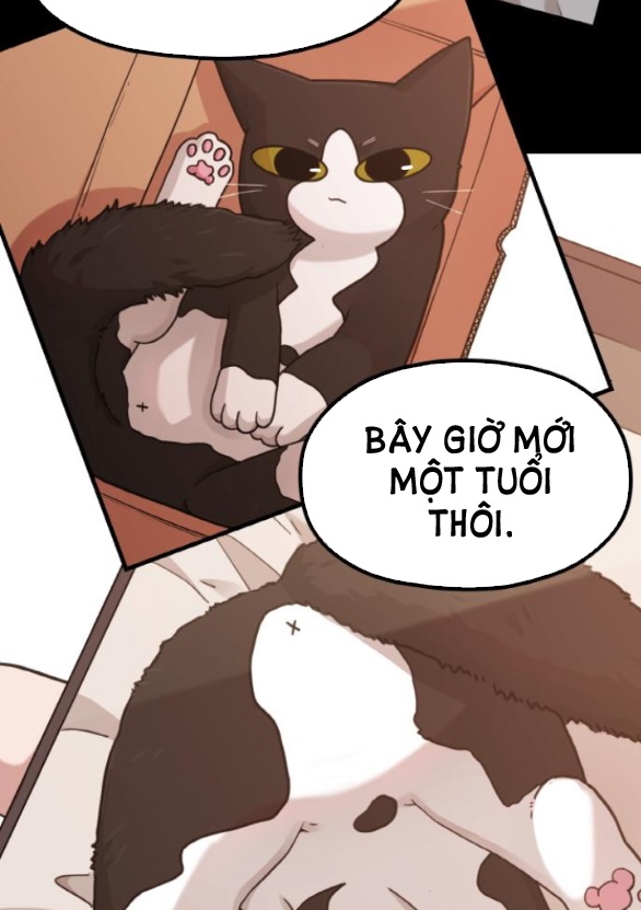 Cuộc Sống Của Tác Giả Truyện Người Lớn chapter 14.2 - Trang 5