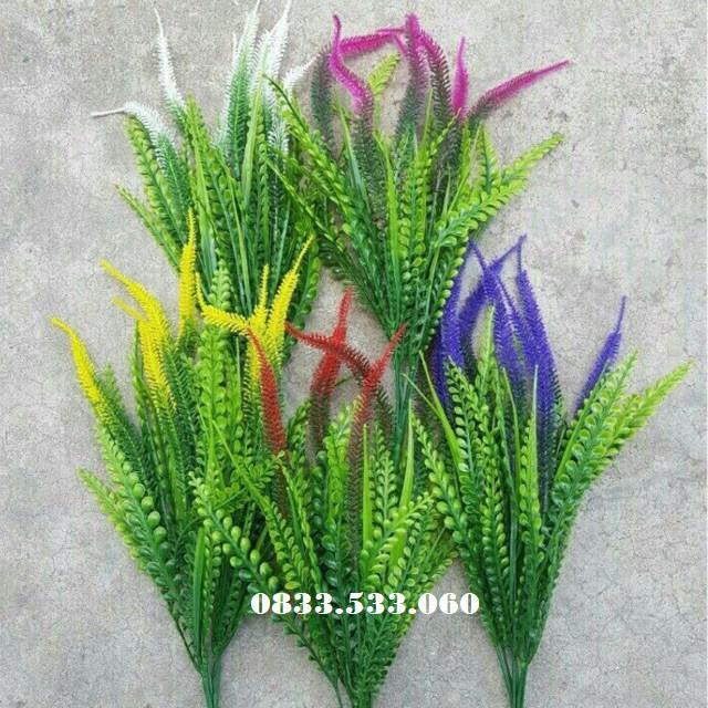 Điểm đuôi chồn 38cm