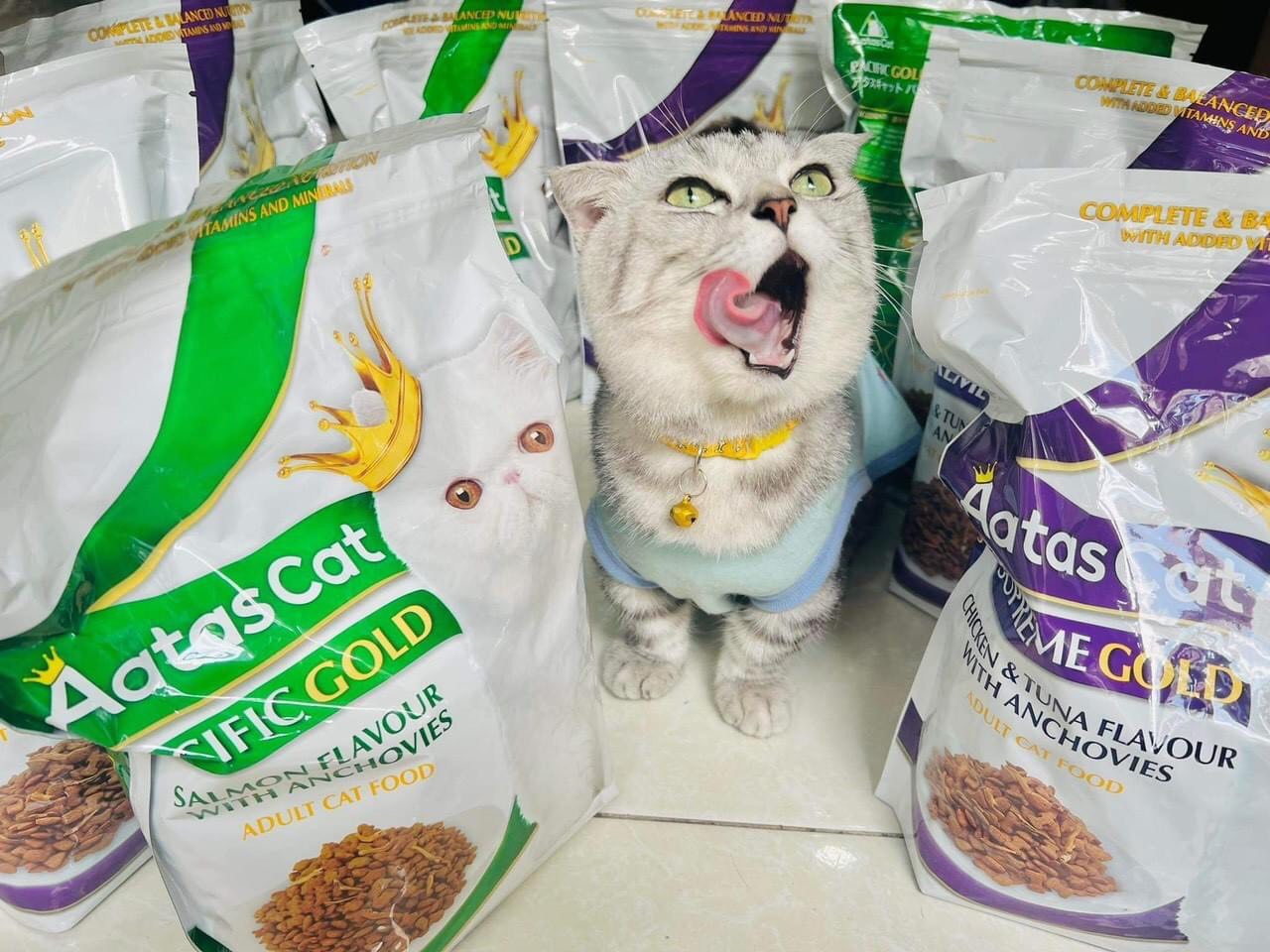 THỨC ĂN HẠT CHO MÈO AATAS CAT CHO MÈO TRƯỞNG THÀNH  [ 1,2KG &amp; 7KG ] - Gà &amp; cá ngừ 1.2kg