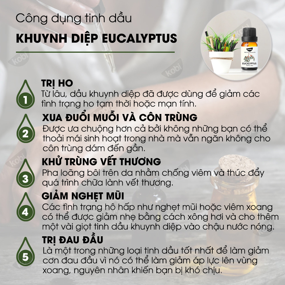 Combo 3 Tinh Dầu Kháng Khuẩn Kobi Bạc Hà + Sả Chanh + Khuynh Diệp - Tinh Dầu Thiên Nhiên Nguyên Chất, Tinh Dầu Xông Phòng, Dùng Với Máy Xông Tinh Dầu Giúp Khử Mùi, Thơm Phòng Hiệu Quả