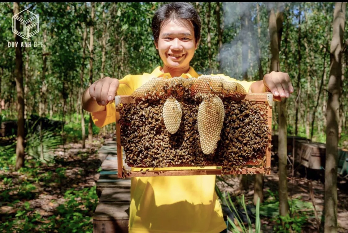Mật Ong Hoa Nhãn Miele 700g