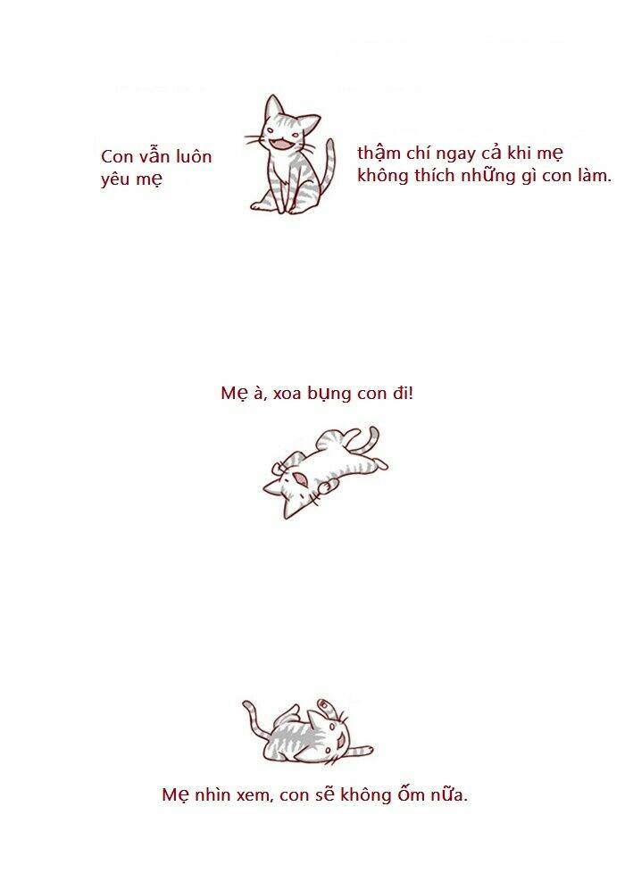 my kitty and old dog chapter 1 3