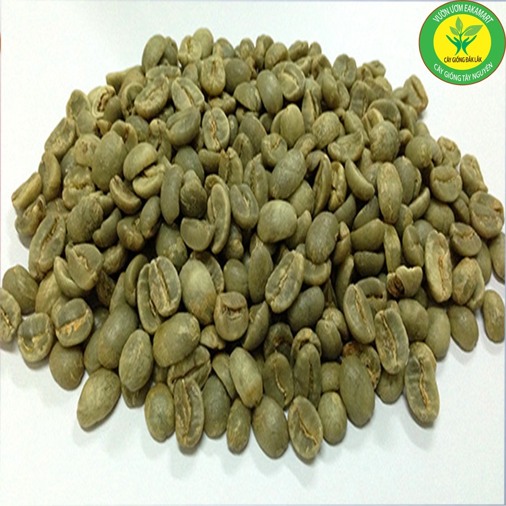 Nhân CAFE Sống ROBUSTAR