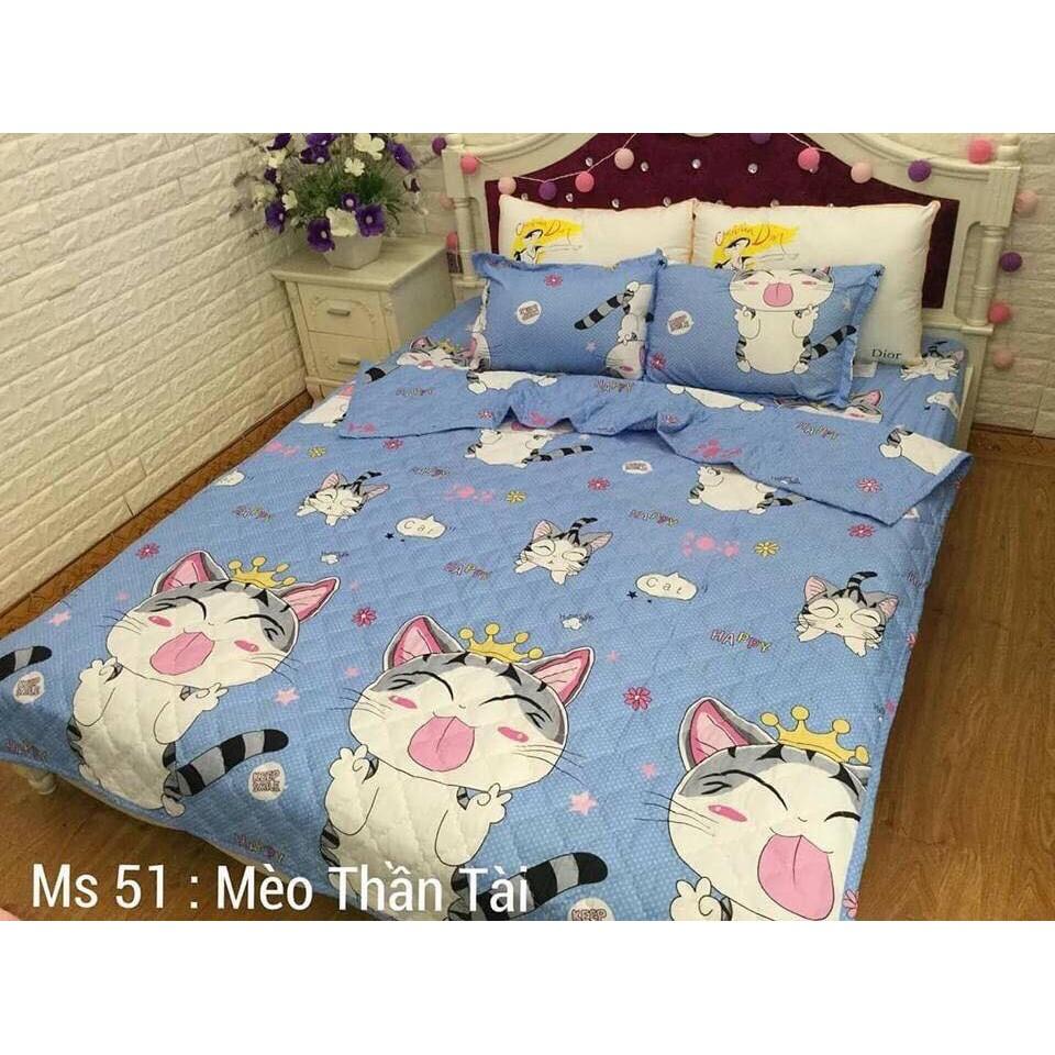 BỘ CHĂN GA GỐI PHỦ TRẦN BÔNG COTTON POLY NHIỀU MÀU