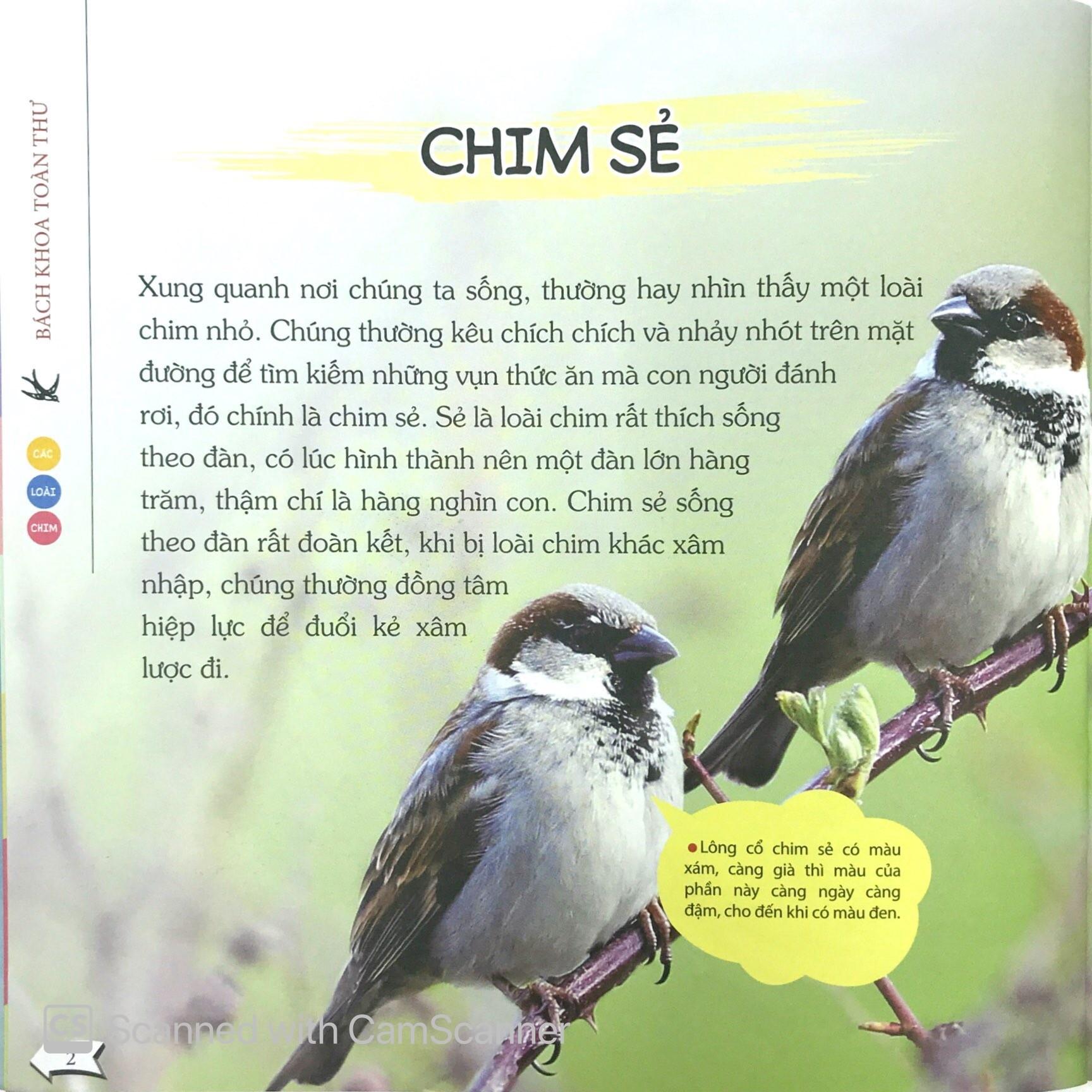 Bách Khoa Toàn Thư Nhỏ - Các Loài Chim