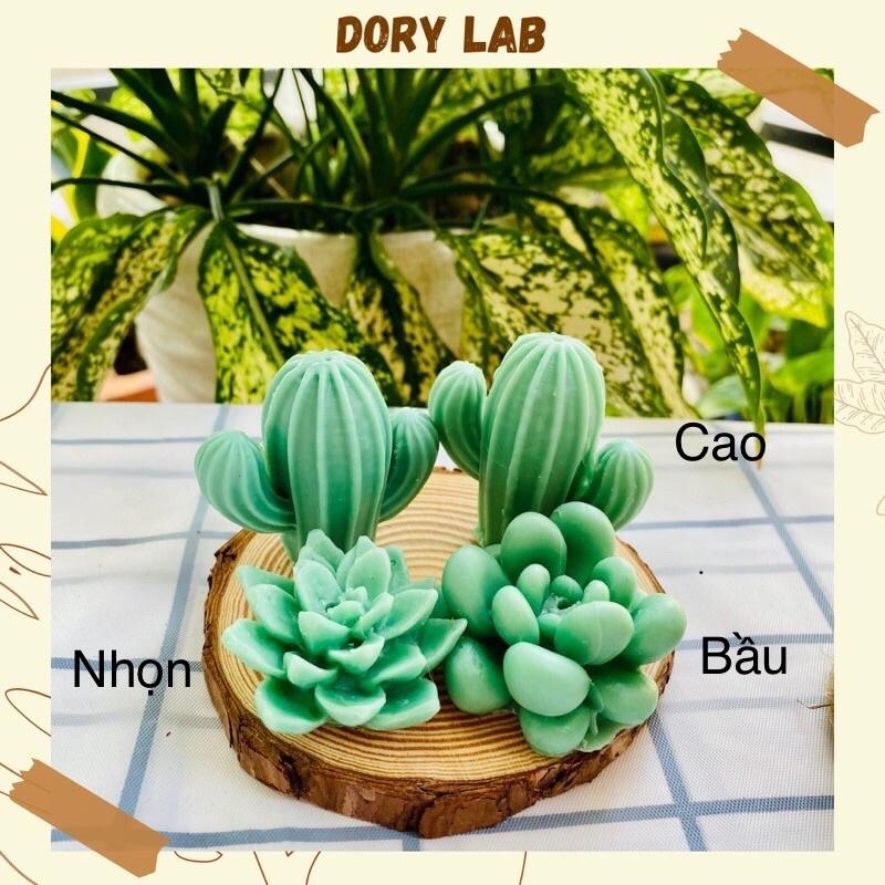 Nến Thơm Chậu Cây Xương Rồng - Dory Lab