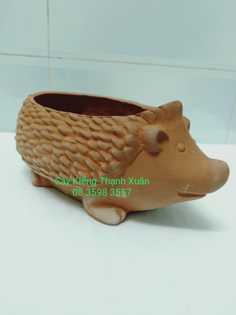 Chậu trồng cây, Chậu đất nung hình con nhím lớn có lỗ thoát nước trồng sen đá xương rồng mini , kích thước miệng chậu ngang 10x Rộng 15cm, Rộng lồng trong 20cm