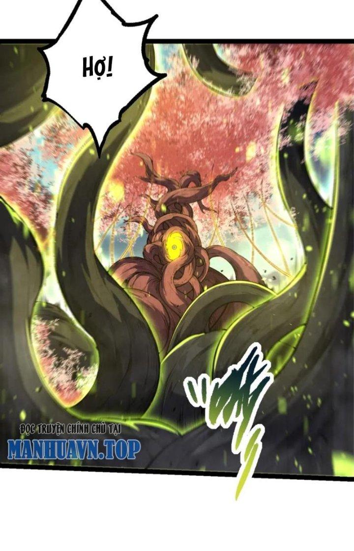 từ cây cổ thụ bắt đầu tiến hóa chapter 79 7