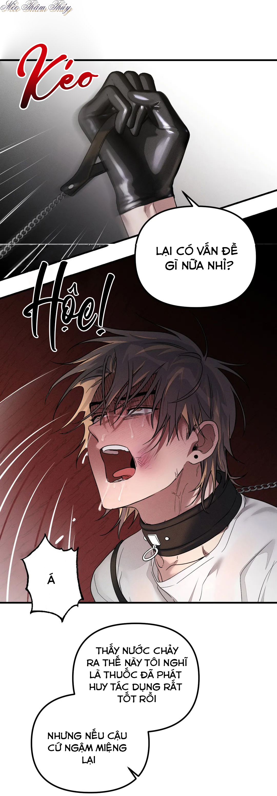 huấn luyện thú cưng chapter 3 5