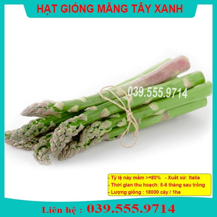 HẠT GIỐNG MĂNG TÂY XANH F1 - NĂNG SUẤT CAO