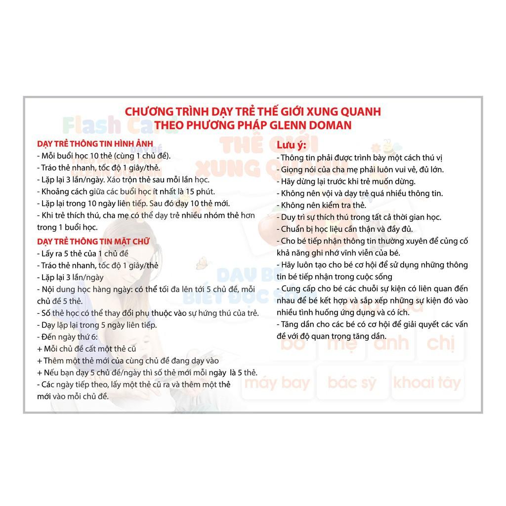 Bộ thẻ học Flash card song ngữ cho bé 19 chủ đề về thế giới xung quanh theo phương pháp Glenn Doman khổ 12x16cm