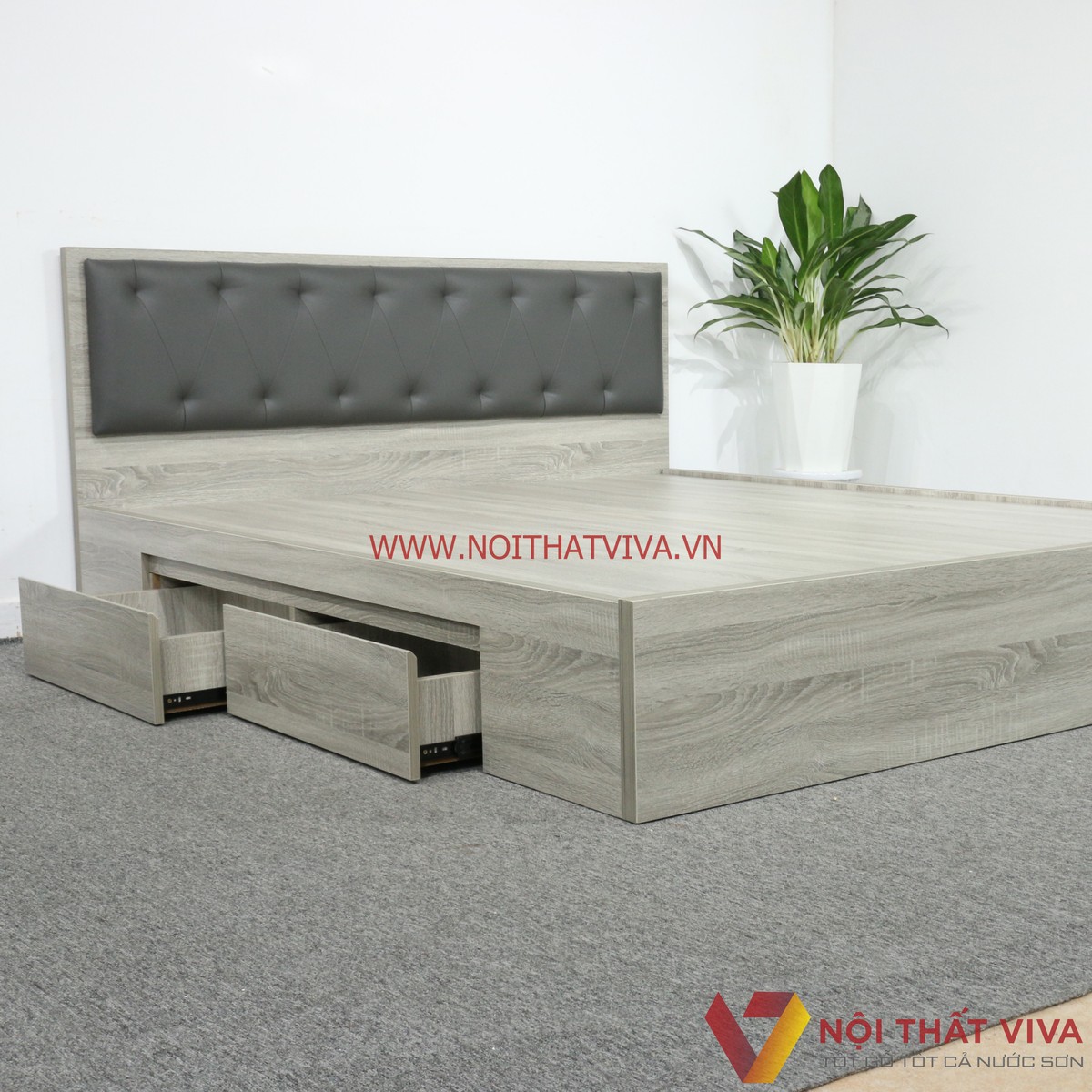 Giường Ngủ Gỗ MDF Melamine Màu Xám Vân Gỗ Có Hộc Kéo + Đầu Nệm Xanh Đen Đẹp Hiện Đại