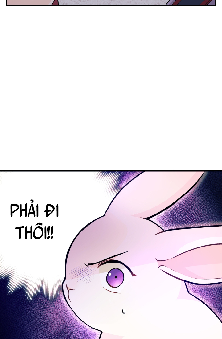 mối liên kết giữa báo đen và bé thỏ chapter 3 60