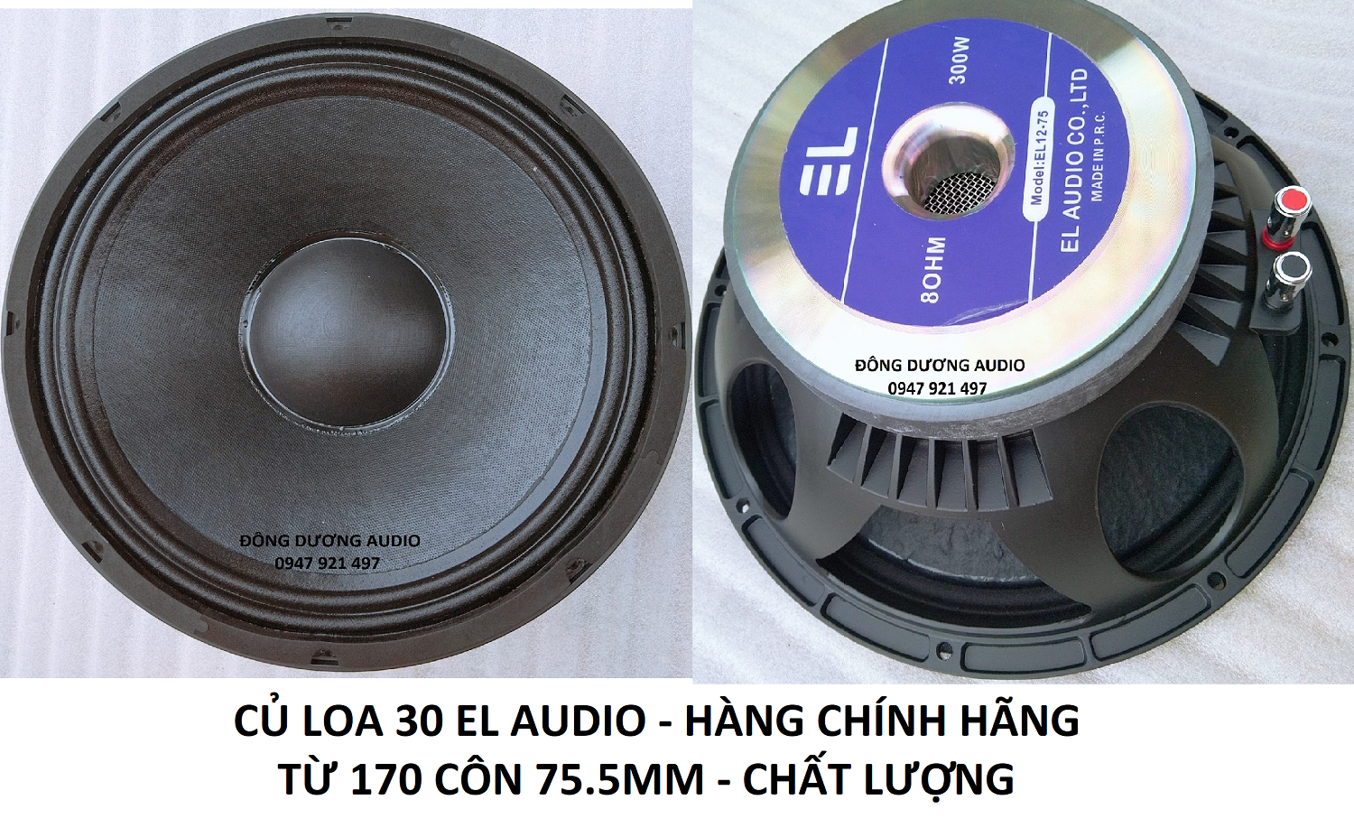 BASS 30 EL TỪ 170 COIL 76 MÀNG CHỐNG THẤM -  XƯƠNG NHÔM  - CÔNG SUẤT MAX 750W- CỦ LOA RỜI