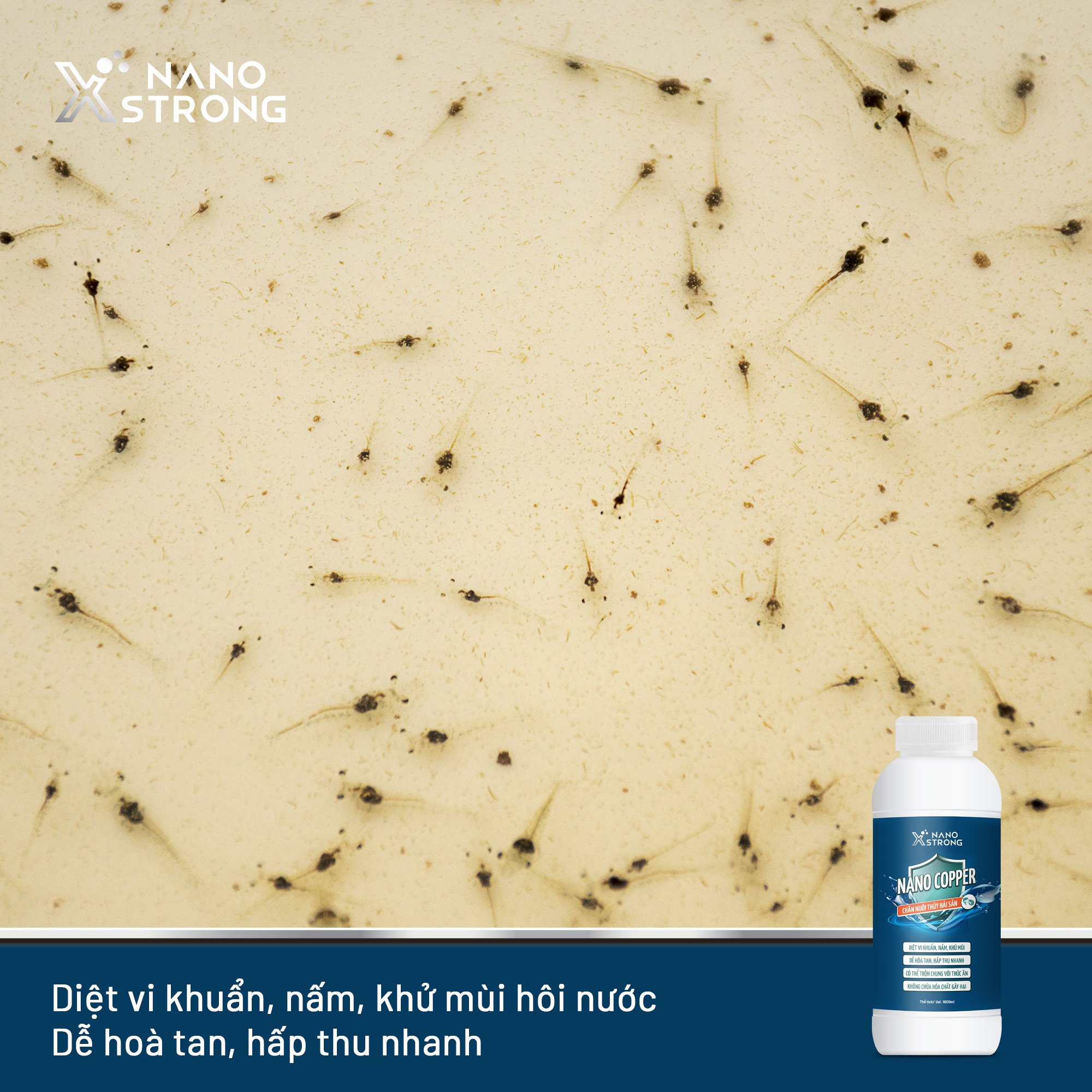 NANO ĐỒNG HẠN CHẾ TẢO, KHỬ MÙI NƯỚC, DIỆT KHUẨN, NẤM, GIÚP TÔM LỘT XÁC-NANO XSTRONG AHT CORP 1000ML