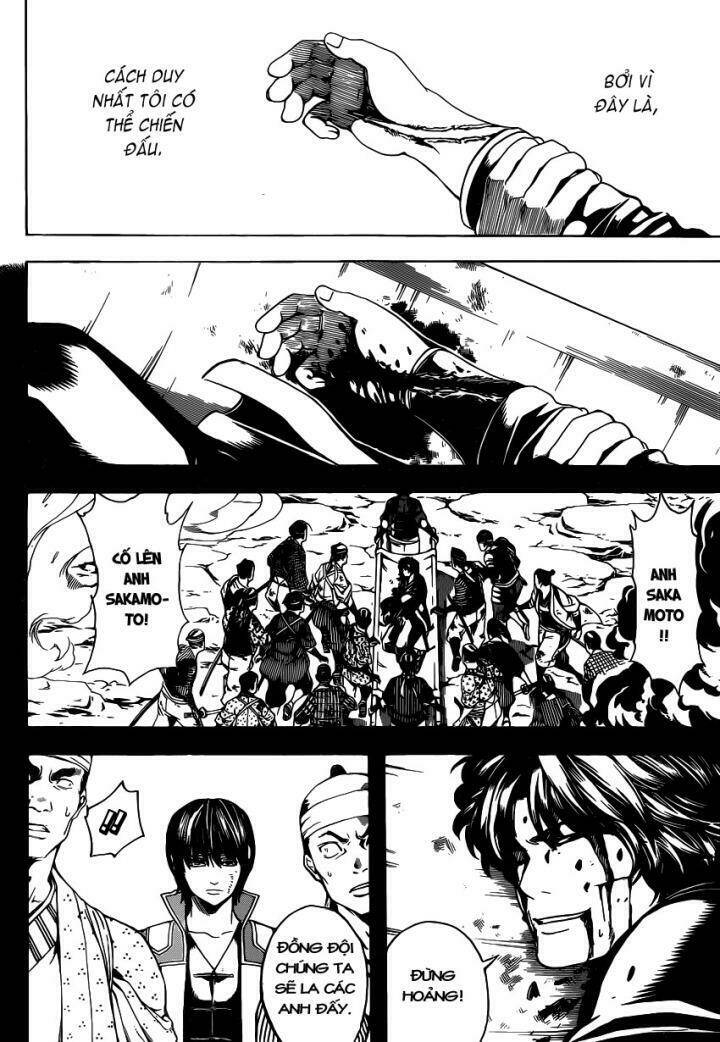 gintama - linh hồn bạc chapter 568 9