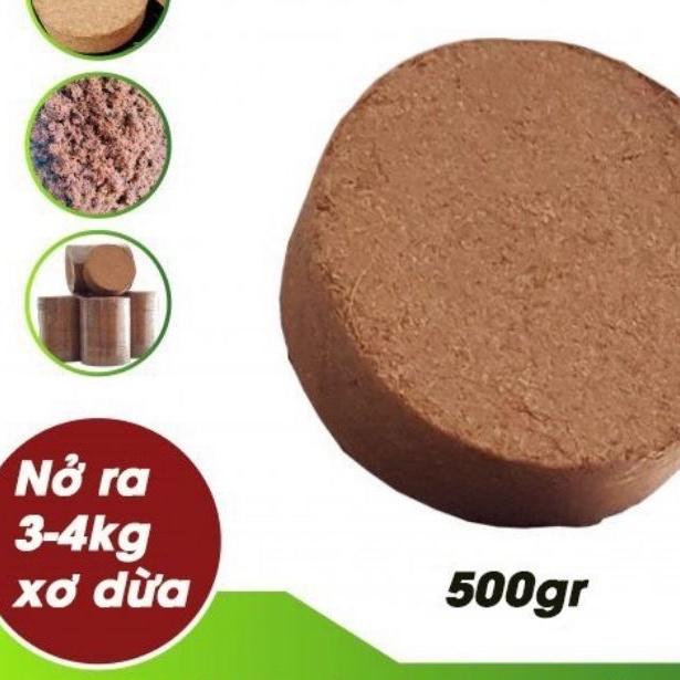 Mụn sơ dừa viên nén 450-500g. Giá thể trồng cây, rau mầm, rau sạch, ươm cây giống