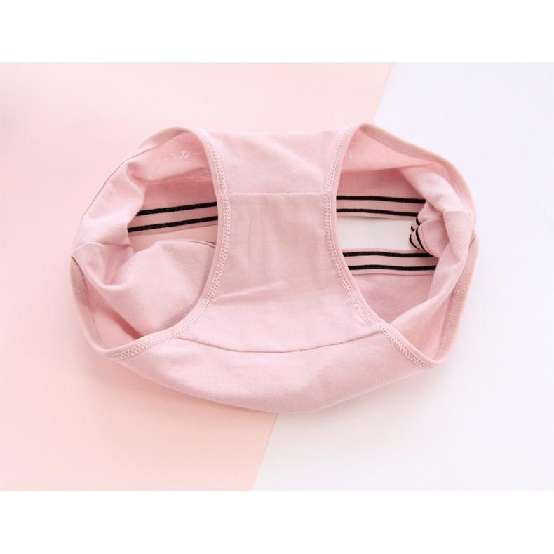 Hộp 05 quần lót cotton hình chữ
