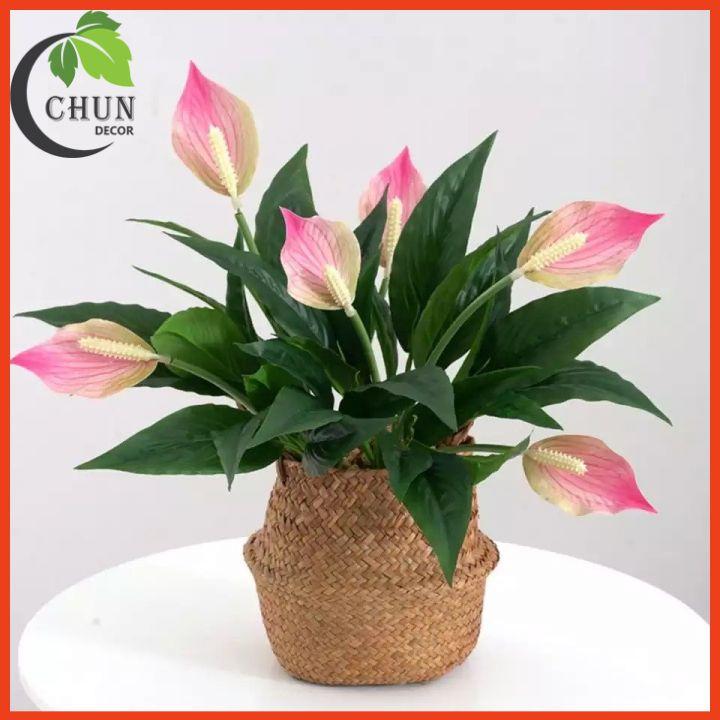 Chậu Hoa Để Bàn Bình Hoa Lan Ý Sang Trọng Cao 47cm Trang Trí Phòng Khách Văn Phòng Cửa Hàng