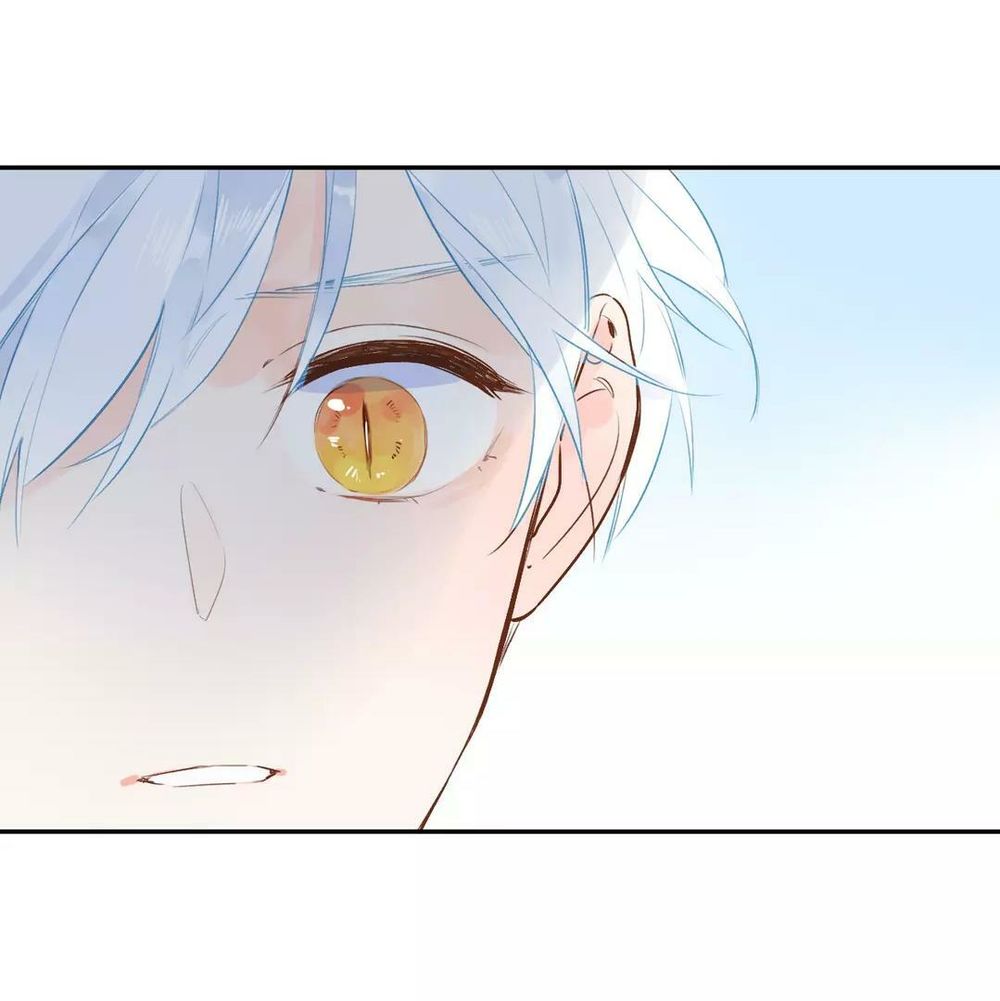 sos! tôi đã yêu một con sâu bướm (phần 2) chapter 51 65