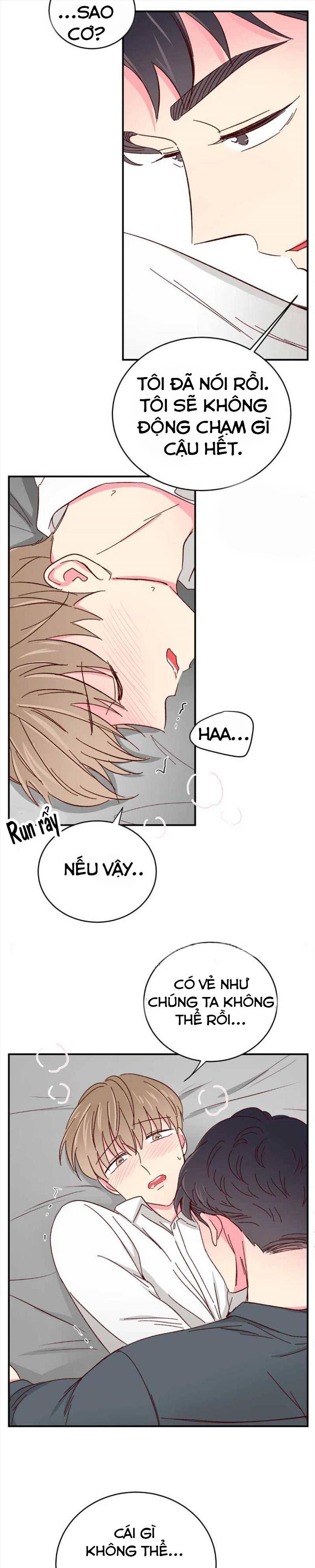 món tráng miệng của sếp tổng chapter 41 9