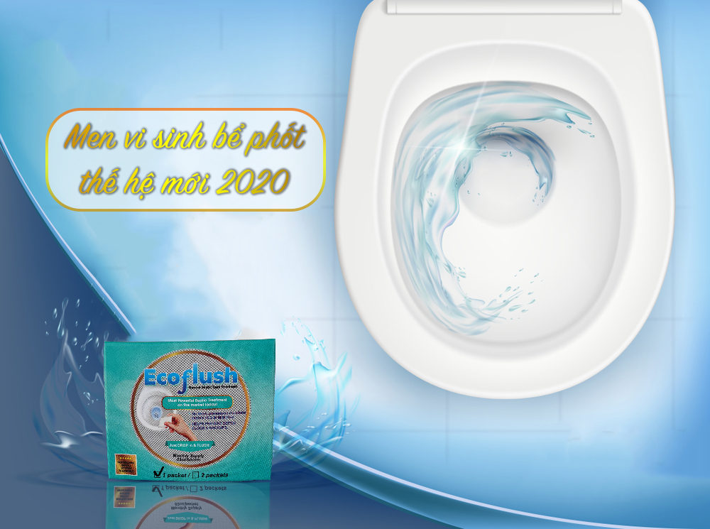 Vi Sinh Xử Lý Bồn Cầu, Bể Phốt Đầy, Tràn - EcoFlush Hộp Nhỏ - Túi Gói Sinh Học Tự Huỷ