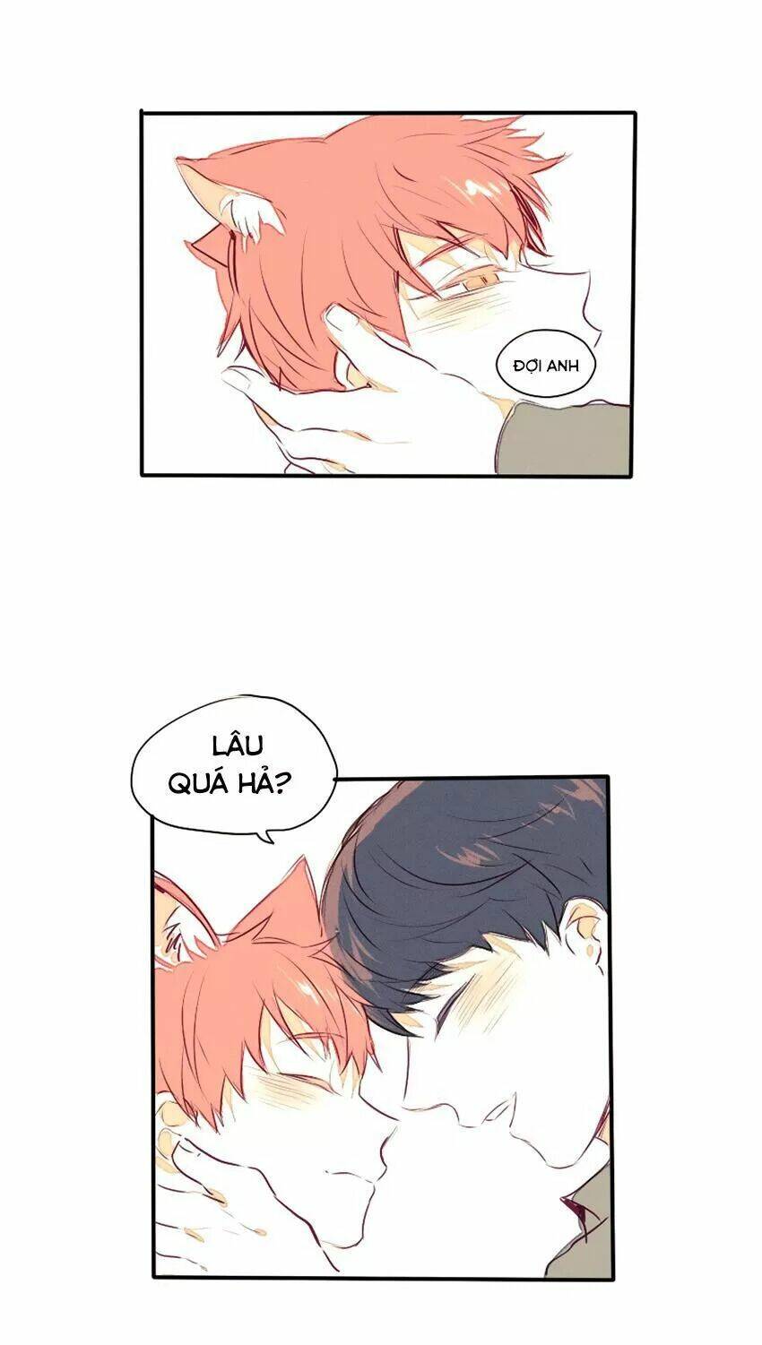 cưới, tôi ư? chapter 29 41