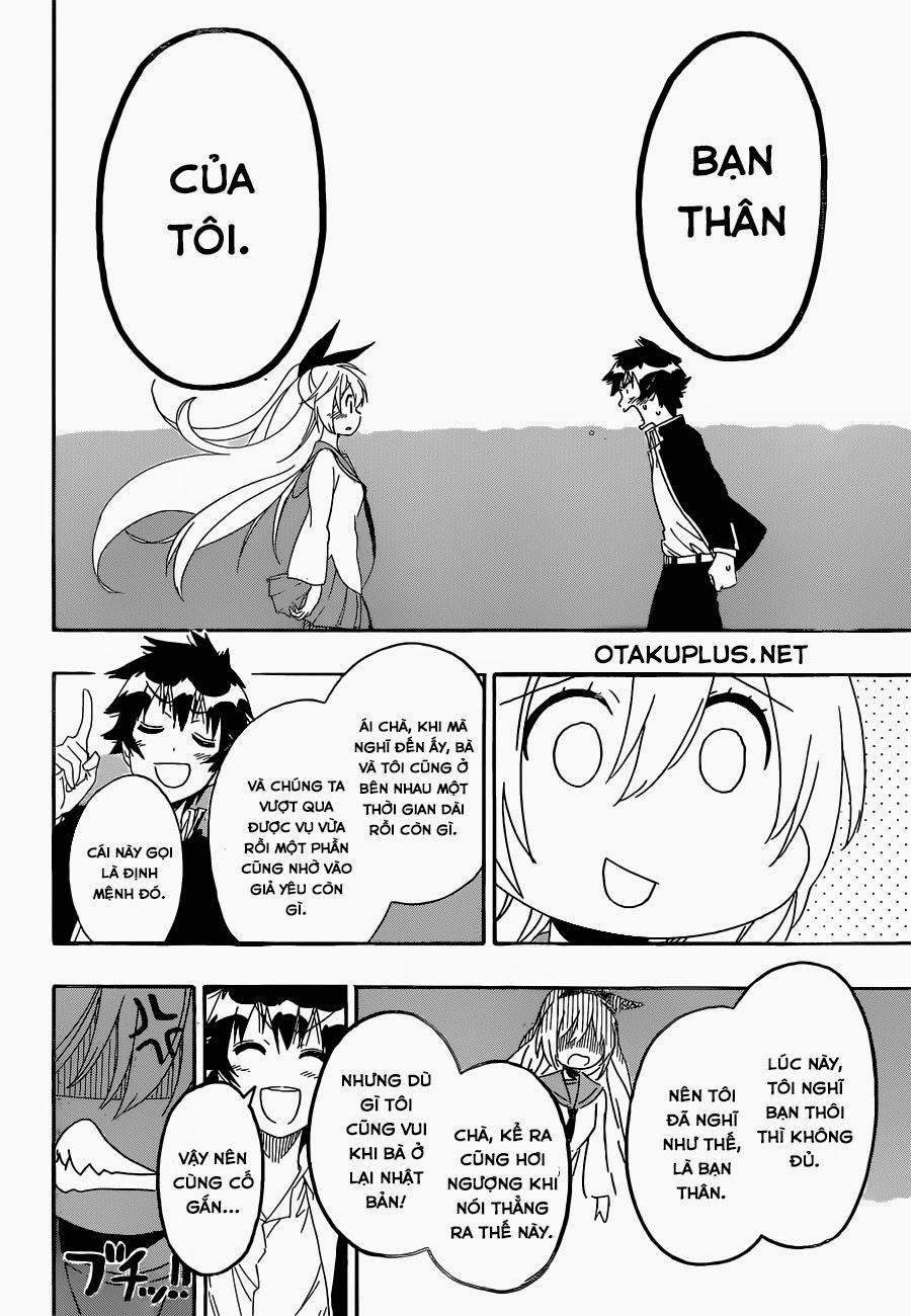 nisekoi - tình yêu giả tạo chapter 162 20