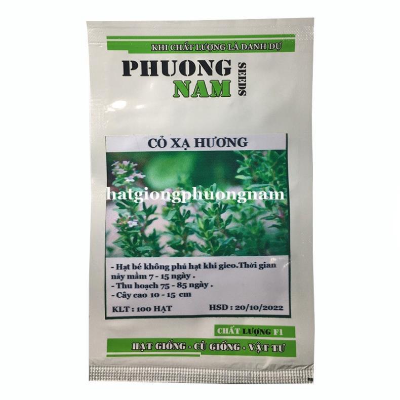 100H - HẠT GIỐNG CỎ XẠ HƯƠNG THYME